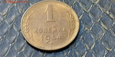 1 копейка 1954 год. До 21.09 - IMG_20190915_154453