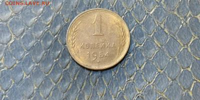 1 копейка 1954 год. До 21.09 - IMG_20190915_154447