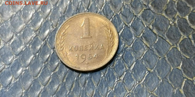 1 копейка 1954 год. До 21.09 - IMG_20190915_154449