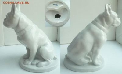 Бульдог ЛФЗ (белый) - P1100033.JPG