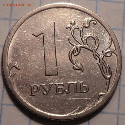 РАЗНОВИДНОСТИ  от  СЛФ - DSC09124.JPG