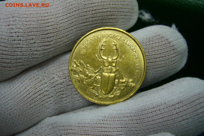 2 злотых 1997 жук - 20-09-19 - 23-10 мск - P2150430.JPG