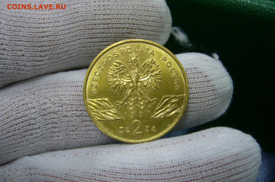 2 злотых 1997 жук - 20-09-19 - 23-10 мск - P2150432.JPG