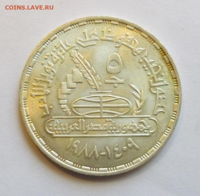 до 22-00мск 19.09.19 - P1060613.JPG