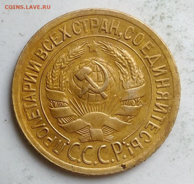1 копейка 1929 года до 23.09.2019 - IMG_20190917_144011