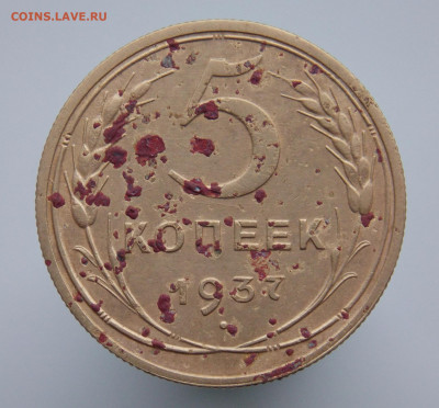 5 копеек 1937 года, до 19.09.2019 г. в 22.00 по Москве - DSCN1072.JPG