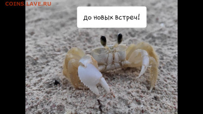 делает - прямо сейчас !!! - Screenshot_20190918-204158_Gallery