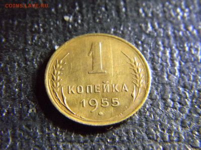 1 копейка 1955  до 20.09 в 22.00 по Москве - Изображение 6661