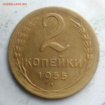 2 копейки 1955 года до 23.09.2019 - IMG_20190918_151531