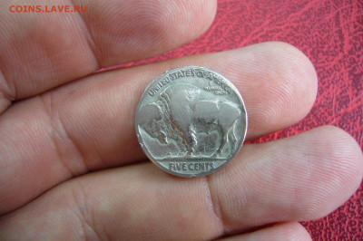 5 центов индеец - 23-09-19 - 23-10 мск - P2160933.JPG