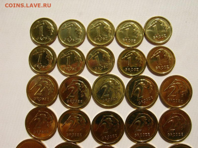 Польша 1, 2, 5 грошей 2014 10 комплектов до 22:00 23.09. - IMG_4963.JPG
