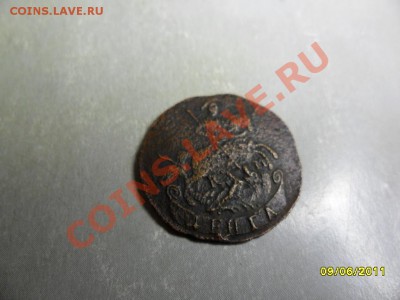 денга 1792 км, короткий аук - SAM_1365.JPG