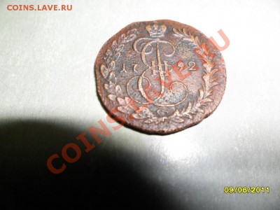 денга 1792 км, короткий аук - SAM_1390.JPG