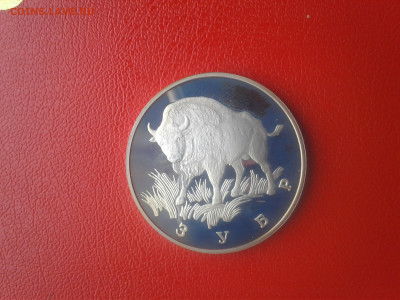 1рубль 1997г.Зубр - 1568968530664-1205196722