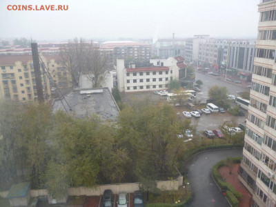 Путешествия заграницу и всё, что с этим связано - P1060618.JPG
