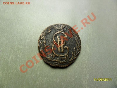 полушка 1774 км - SAM_2649.JPG