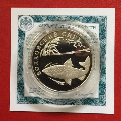 1 рубль 2005 года Волховский сиг. До 26.09.19 в 22-00 - 93067B99-6FBF-482E-B389-B4A8F0A3F7B8