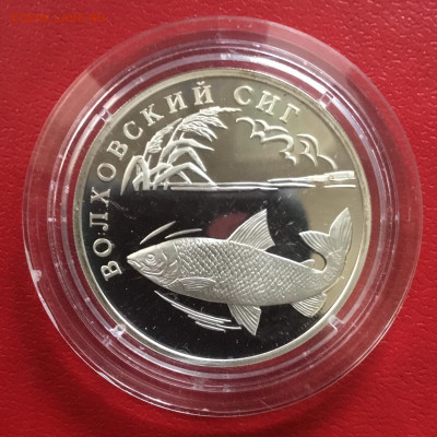 1 рубль 2005 года Волховский сиг. До 26.09.19 в 22-00 - C70AD46C-5B9C-461D-9C33-88F8DCCEB798