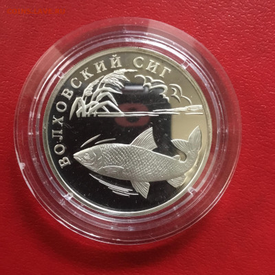 1 рубль 2005 года Волховский сиг. До 26.09.19 в 22-00 - 487B3C99-D826-4C5E-8E4C-BEE88CDFF8CE