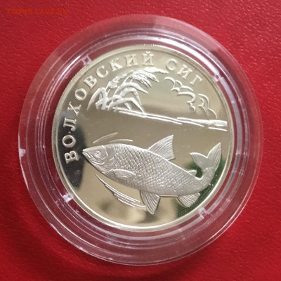 1 рубль 2005 года Волховский сиг. До 26.09.19 в 22-00 - 7DFCFB7C-22EF-44BD-863A-C5D3D919B084