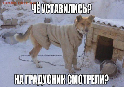 делает - прямо сейчас !!! - Lpn3ZVDVlk8