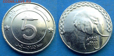 Алжир - 5 динаров 2011 года (Слон) в блеске до 27.09 - Алжир 5 динаров, 2011