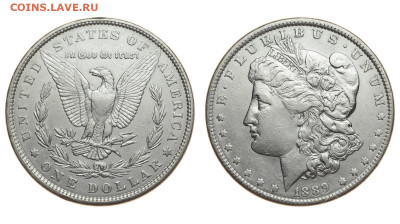 США. 1 доллар 1889 г. Морган. До 26.09.19. - DSH_3894.JPG