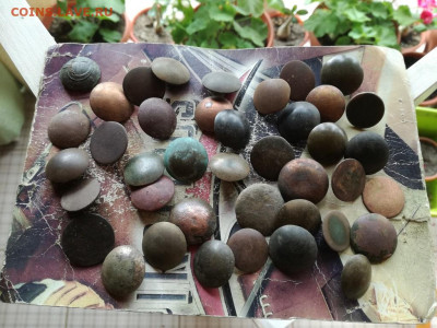 40 пуговиц до 24.09.2019 - 40пуг - копия