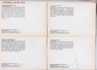 Принесите домой океан 1975 г. до 28.09.19 г. в 23.00 - 017