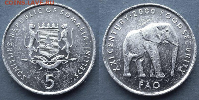 Сомали - 5 шиллингов 2000 года до 27.09 - Сомали 5 шиллингов, 2000