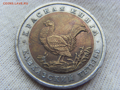 Красная Книга- 50 рублей Тетерев 1993 до 28.09.19 г. - SDC16965.JPG