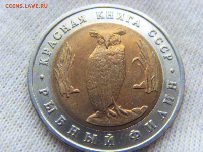 Красная Книга- 5 рублей Филин 1991_4 до 28.09.19 г. - SDC16962.JPG