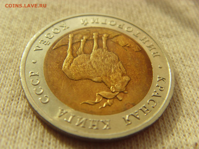 Красная Книга- 5 рублей Козёл 1991 до 28.09.19 г. - SDC16809.JPG