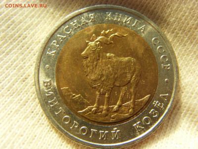 Красная Книга- 5 рублей Козёл 1991 до 28.09.19 г. - SDC16808.JPG