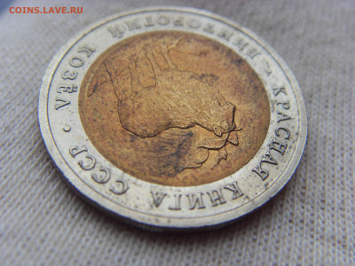 Красная Книга- 5 рублей Козёл 1991_3 до 28.09.19 г. - SDC16974.JPG