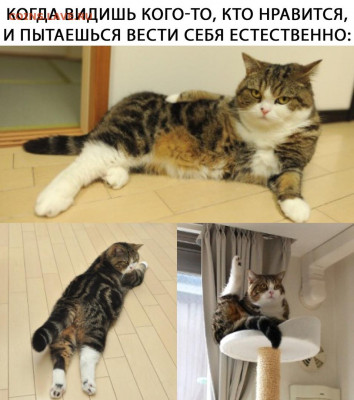 делает - прямо сейчас !!! - 0NIsHq8BQBU