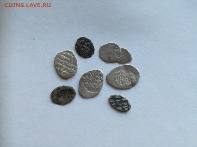 7 чешуек до 25.09.2019 - чеш - копия