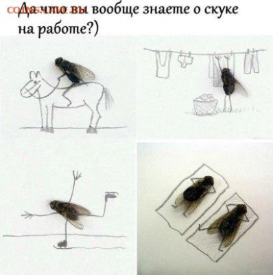 делает - прямо сейчас !!! - i