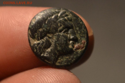 Антика.Малая Азия до 27.09.2019 22-00 - CSC_0474.JPG