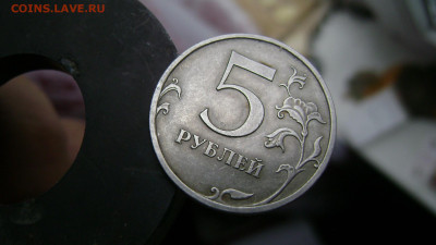 у окна - DSC05193.JPG