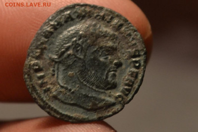 4 фолиса - CSC_0493.JPG