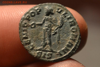 4 фолиса - CSC_0494.JPG