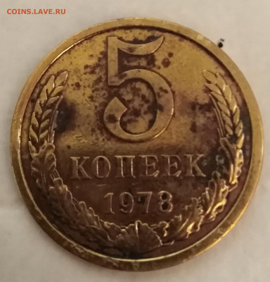 5 копеек 1978 блеск - IMG_20190924_034145