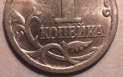 РАЗНОВИДНОСТИ  от  СЛФ - DSC09470.JPG