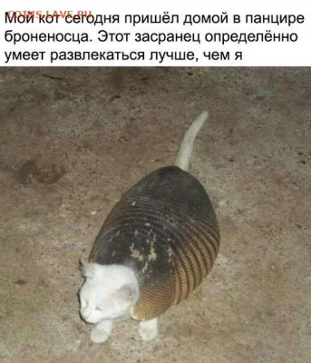 юмор - VlP_S9-qEcI