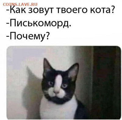 юмор - ydjKHPo2HM4