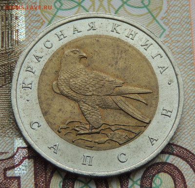 50 руб. Красная книга 1994г. Сапсан до 03.10.19 - DSCN9757.JPG