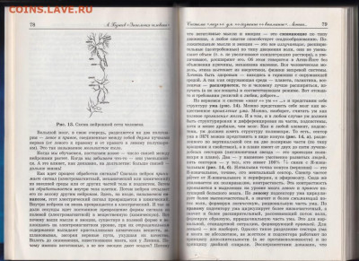 А. Бугаев Эниология человека 2006 г. до 04.10.19 г. в 23.00 - 031
