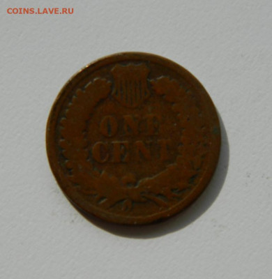 США 1 цент 1883 года (Индеец). до 02.10.2019 - DSCN9902.JPG