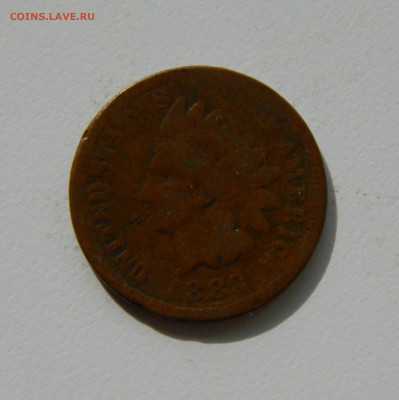 США 1 цент 1883 года (Индеец). до 02.10.2019 - DSCN9903.JPG